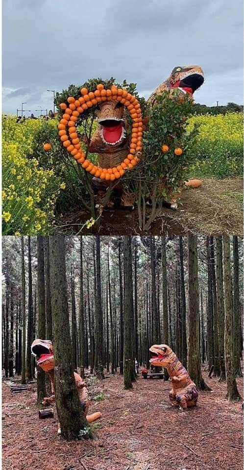 인싸 커플들이 여행을 즐기는 방법 | 인스티즈