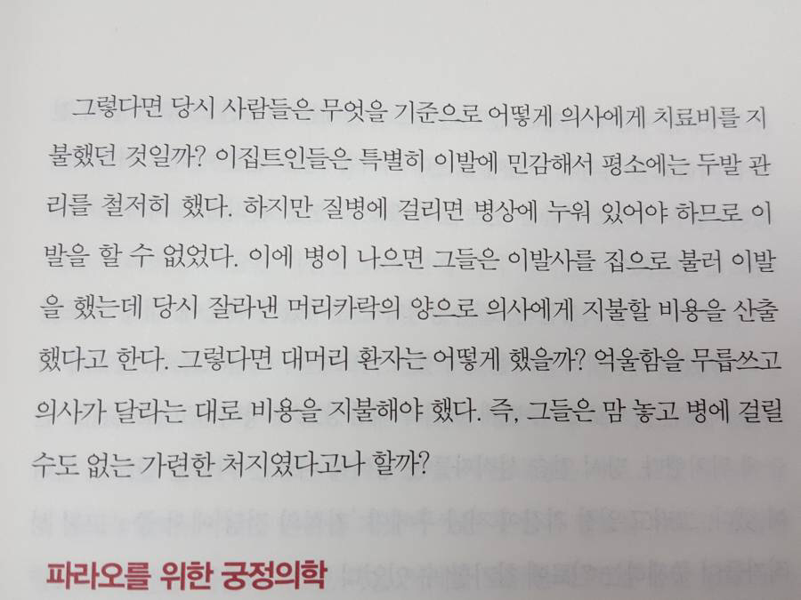 고대 이집트의 머머리 | 인스티즈