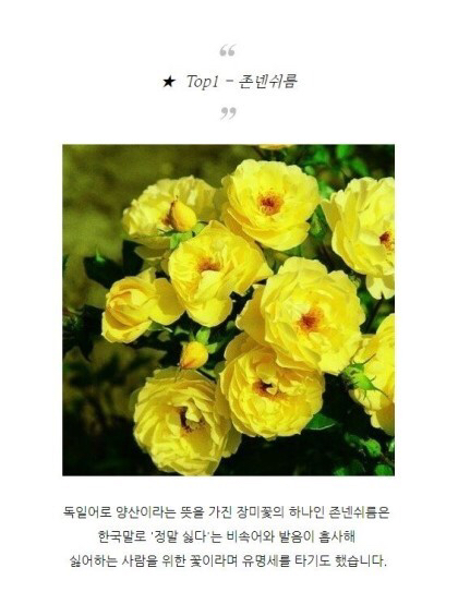 특이한 식물 이름 | 인스티즈