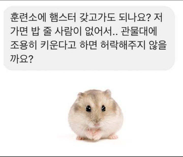 초스피드 관심병사되기 | 인스티즈