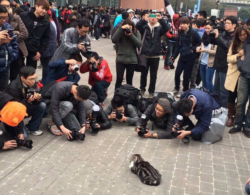 코믹마캣 최고 인기 코스플레이어 | 인스티즈