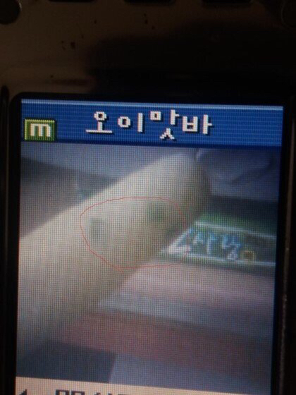 레전드아이스크림 오이바 | 인스티즈