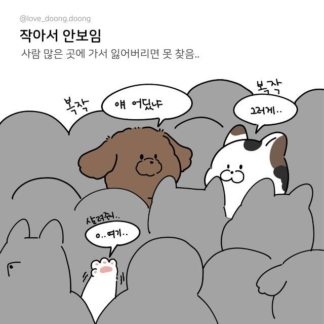 키작은 애들 특징 | 인스티즈