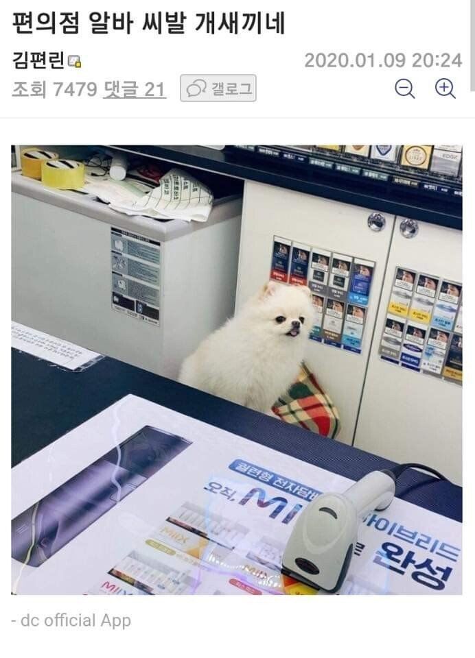 편의점 알바 개새끼네 | 인스티즈