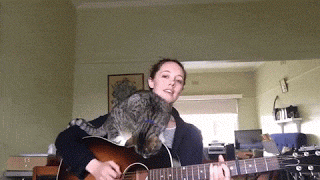 기타치는 집사와 고양이 | 인스티즈