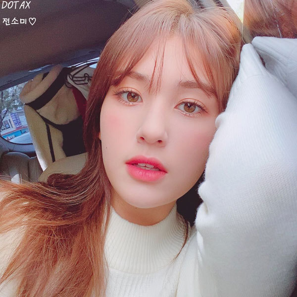 댕댕이들 다리털만 남겨놓은 이유.JPG | 인스티즈