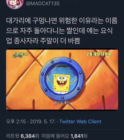 스폰지밥 월요일 좋아 노래의진실 | 인스티즈