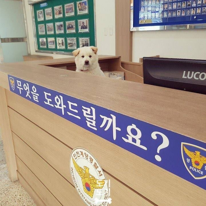 360p vs 1080p.jpg | 인스티즈