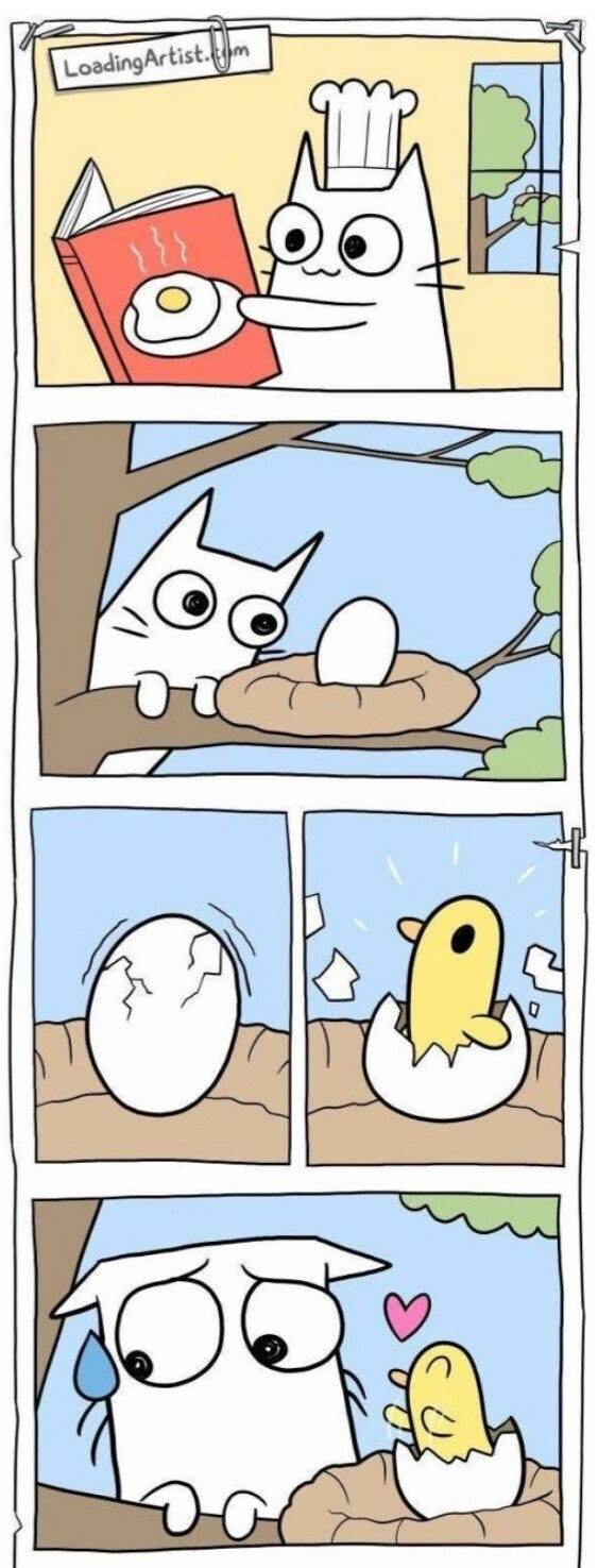 요리하는 고양이 만화 | 인스티즈