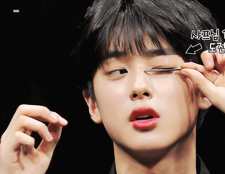 이탈리아 티라미수 맛집이라는 뽐삐 티라미수...jpg | 인스티즈