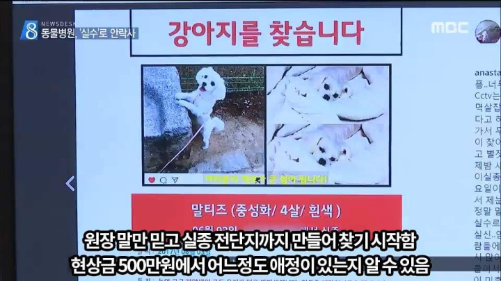 반려견 최악의 사건.jpg | 인스티즈