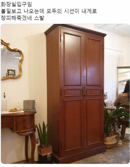 나니아 연대기 | 인스티즈