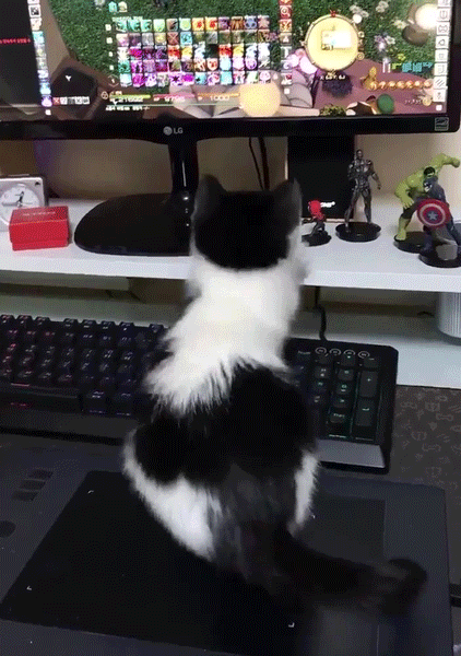 게임하는데 방해하지마라 ㅡㅡ.gif | 인스티즈