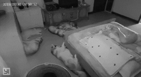 자다가 침대에 발이 낌 | 인스티즈