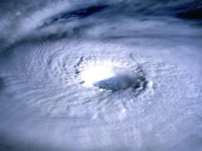 태풍이 오고있지만 제가 있으니 걱정마십쇼 | 인스티즈