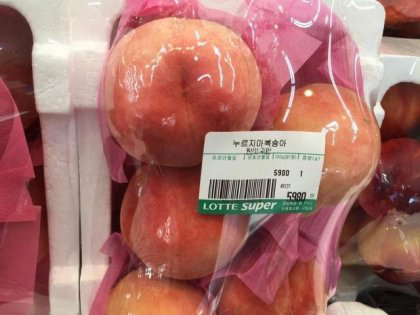 복숭아 누르지 마세요 | 인스티즈