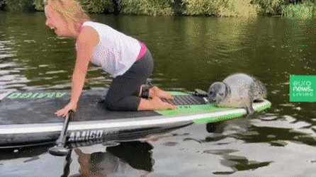 무임승차한 귀요미.jpg | 인스티즈