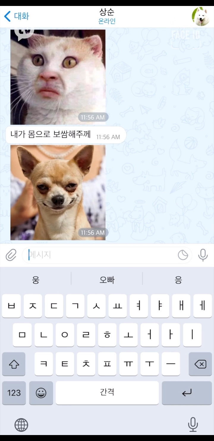 거사를 위해 많은 준비를 하고 있는 이효리.jpg | 인스티즈