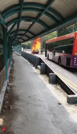 소방관들이 트라우마가 심한이유.gif | 인스티즈