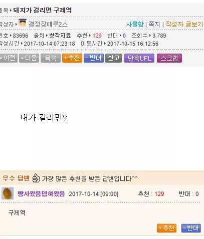 대학물 먹은 사람들 드립 | 인스티즈