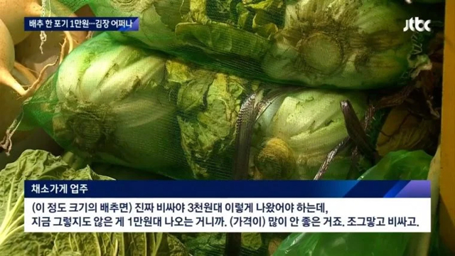 배추 근황.jpg | 인스티즈