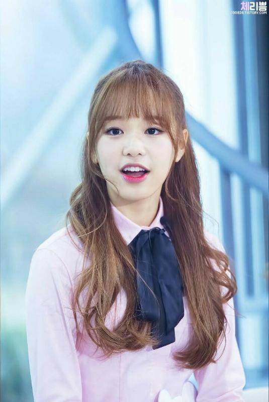 에이프릴 레이첼 | 인스티즈