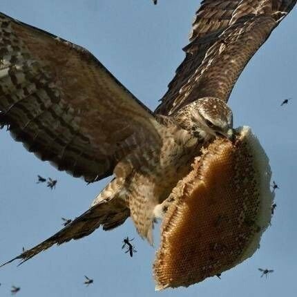 도와주세요 매형이 집문서 가지고 날랐습니다.... | 인스티즈