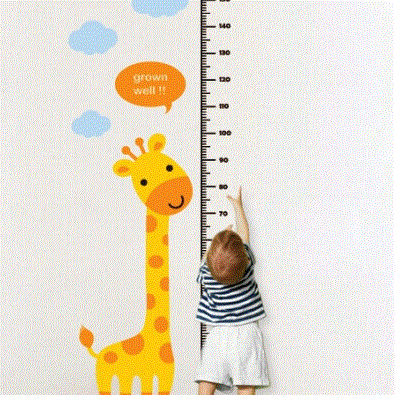 본인 키 만족한다vs불만이다 | 인스티즈