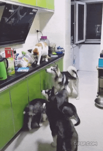 어휴.. 집 애들 밥도 안주고.. | 인스티즈