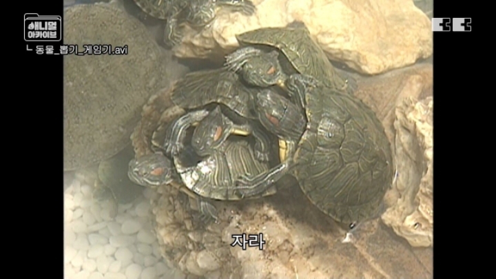 잼민이들은 모르는 저세상 인형뽑기 ㄷㄷㄷㄷ | 인스티즈