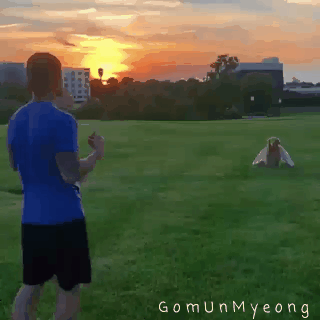 천사 옷 입고 주인한테 점프하는 골든 리트리버 댕댕이.gif | 인스티즈