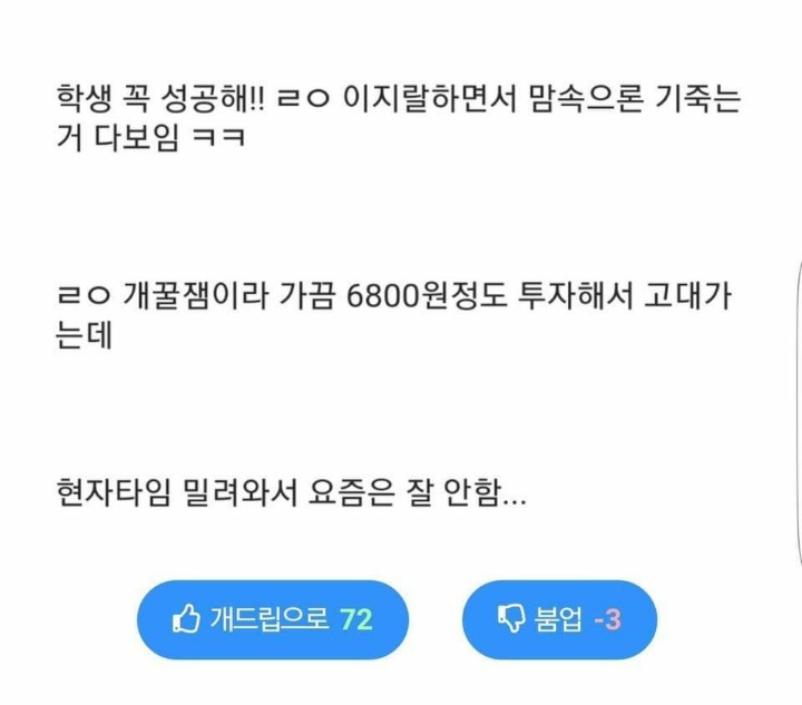 자존감채우기위해 고려대학교 감 | 인스티즈