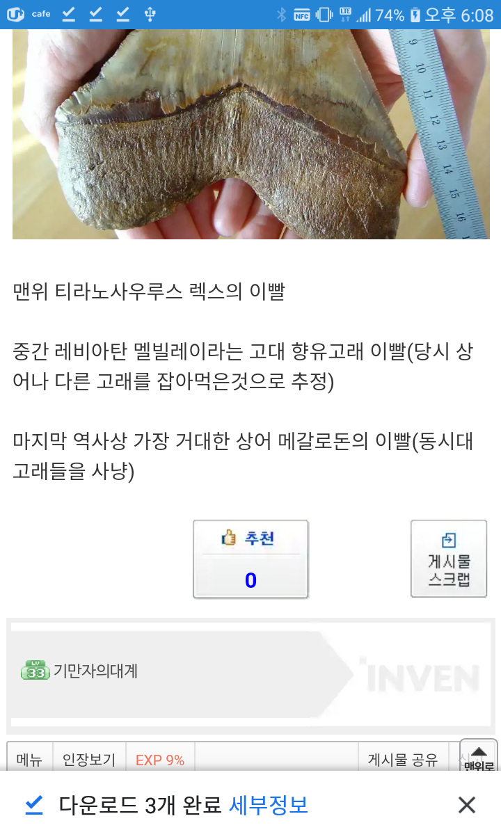 거대한 이빨 화석의 위엄 | 인스티즈