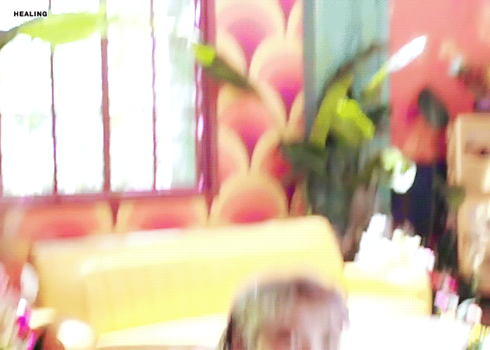 아이유가 꽃 표현할때 시그니처 포즈 | 인스티즈