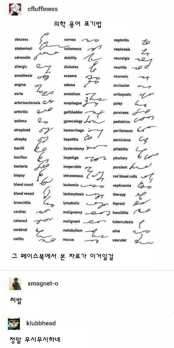 의사들만 알아보는 글자.jpg | 인스티즈