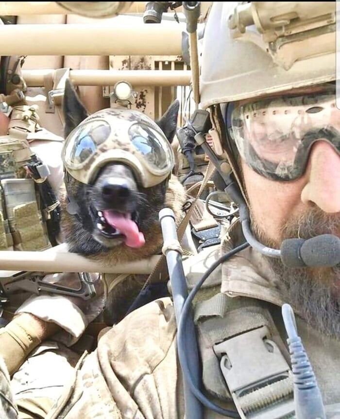 의외로 개들이 보급받는거 | 인스티즈