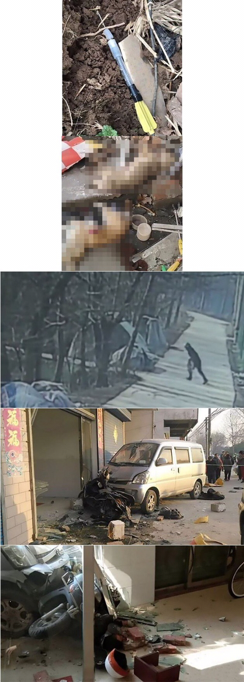 강아지를 독살하고 다니던 남성 견주에 의해 사망.jpg | 인스티즈