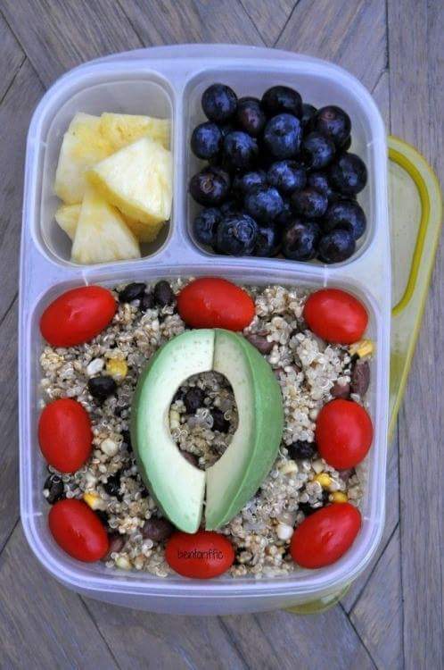 다이어터 도시락 | 인스티즈