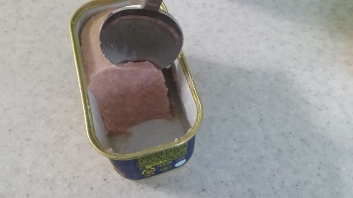 자취생 스팸구이의 정석...jpg | 인스티즈