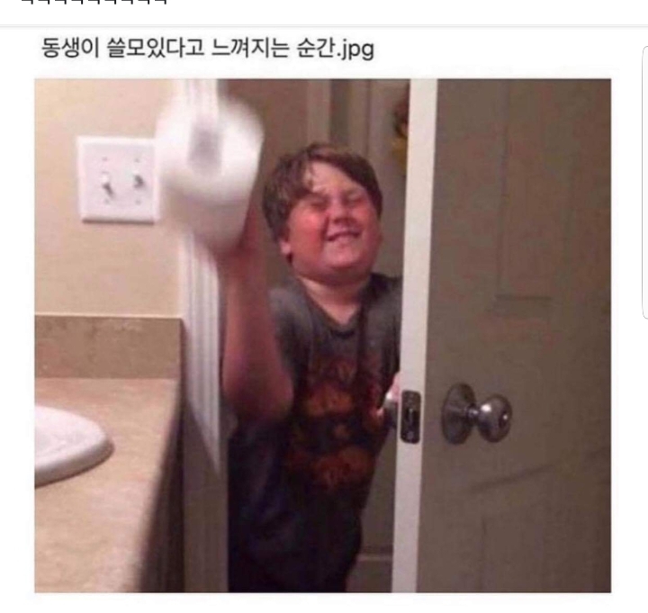 동생이 쓸모있을때 | 인스티즈