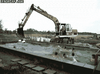 강한 자만 살아남는 그 곳 러시아 | 인스티즈