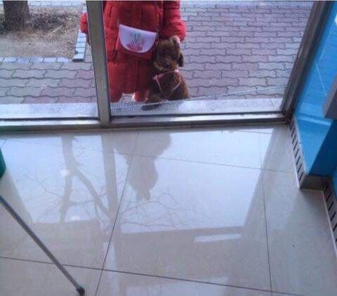 나 은행가서 돈 뽑는데 동생하고 울 강아지 얌전히 기다리는거봐ㅋㅋ | 인스티즈