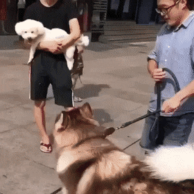 나도 안아줘봐.gif | 인스티즈