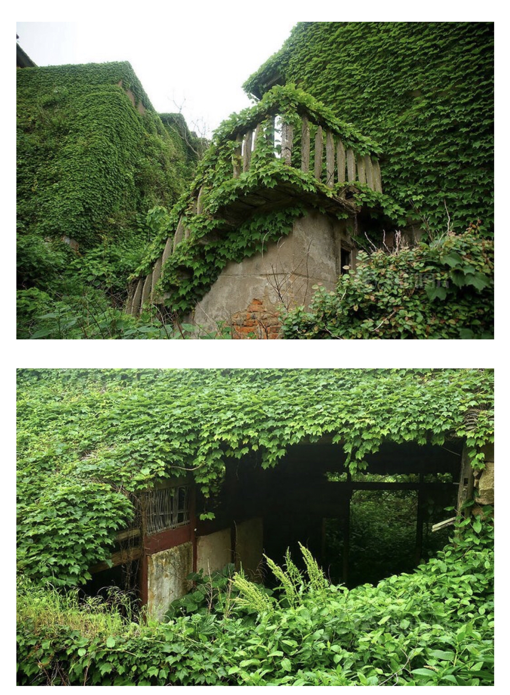 20년뒤 한국 농촌 사회의 미래 모습...jpg | 인스티즈