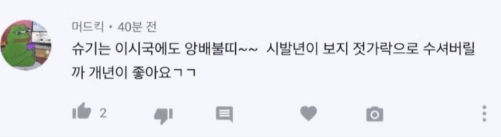 유투버 슈기가 받는 악플 수준 | 인스티즈