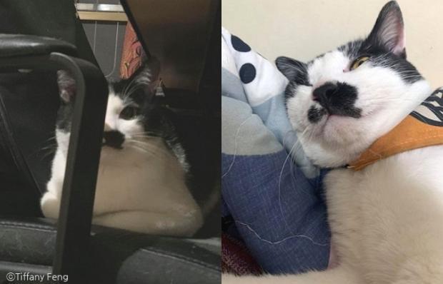 할머니의 확대력 | 인스티즈