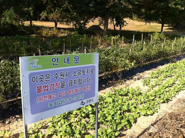 하지 말라고 해도 흔하게 하는 불법 행위 | 인스티즈