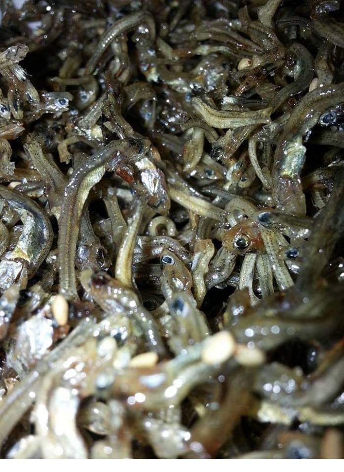 사진고자가 찍은 음식사진 | 인스티즈