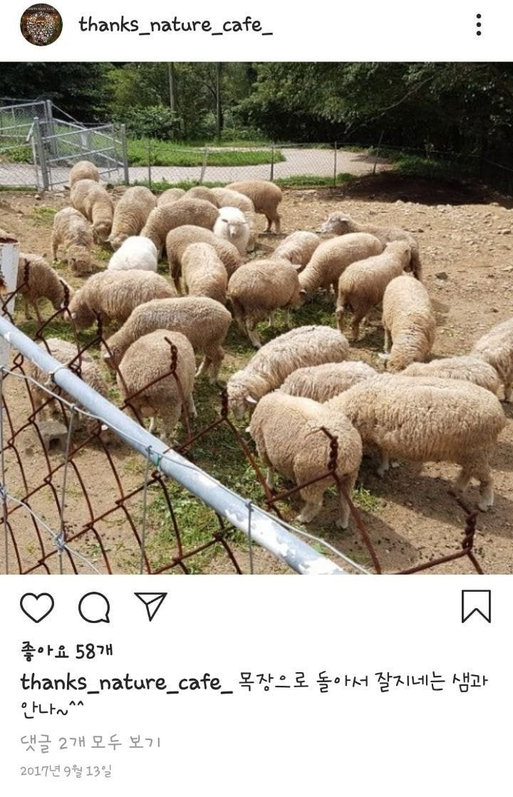 홍대 양카페 근황.jpg | 인스티즈