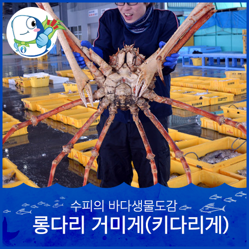 세상에서 가장 큰 게 .JPG | 인스티즈